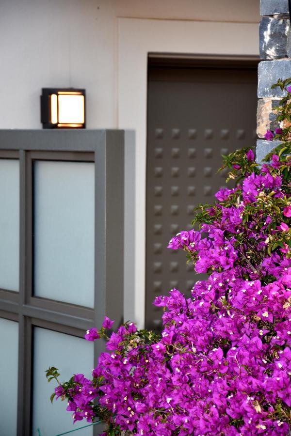 Ελιάδες - Eliades Apartments Karystos  Exterior photo